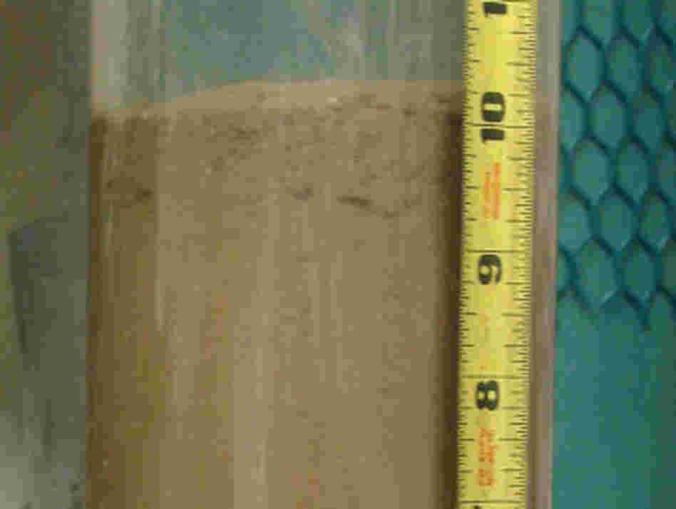 A control core sample, which shows no oil deposit. A control core sample, which shows no oil deposit.